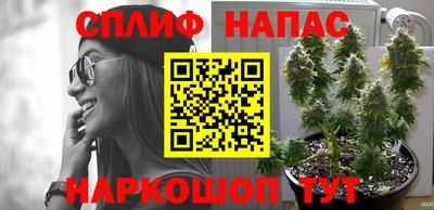 соль ск Кудымкар