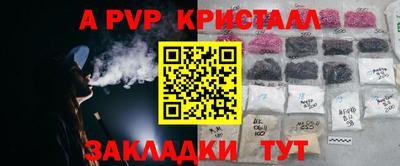 spice Кузнецк