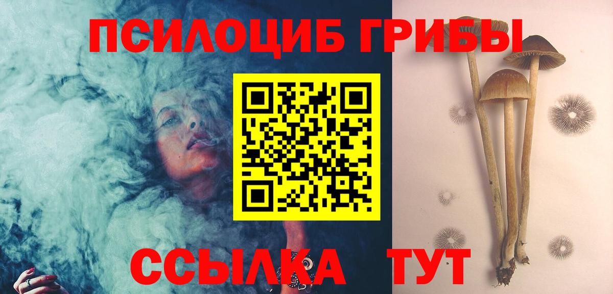 Псилоцибиновые грибы Psilocybe Миасс